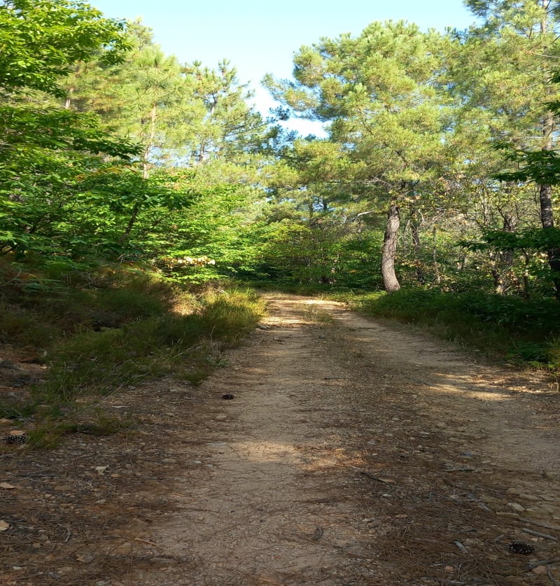 Autour de Meyrannes par Col de l'Espé - Meyrannes