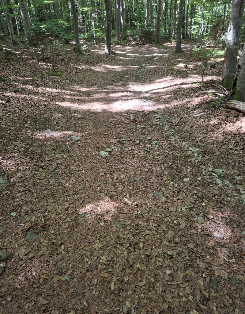 Petit parcours du Mont Pidgier - Saint-Hostien