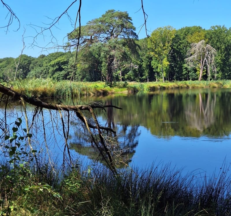 Balade autour du Lac au Duc - Taupont