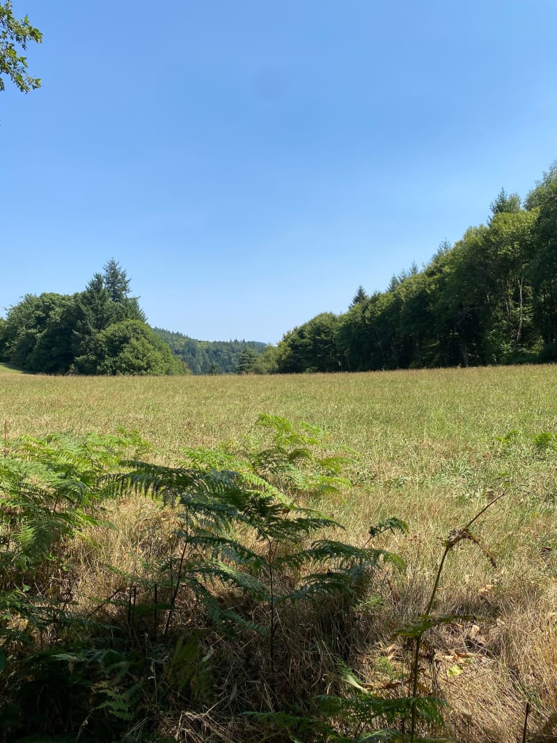 Boucle autour du lac des Bariousses - Treignac