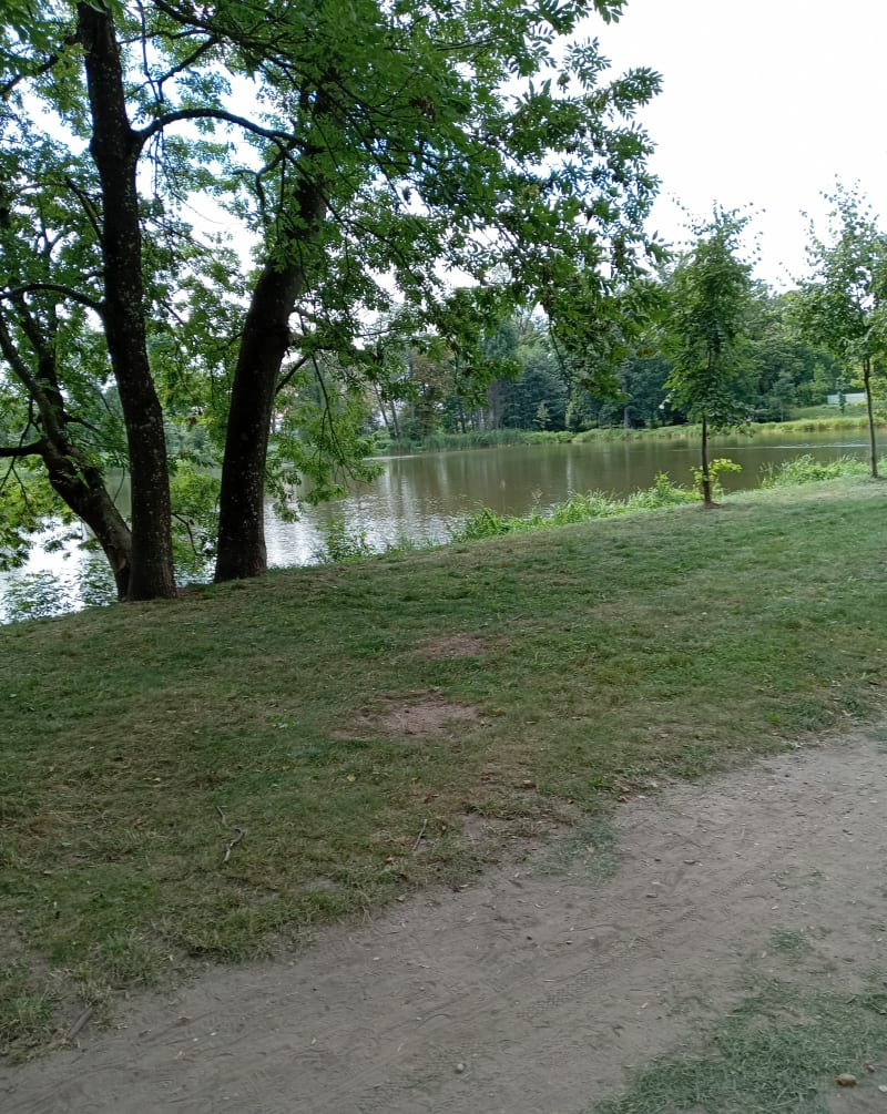Lasy i pola - Białystok