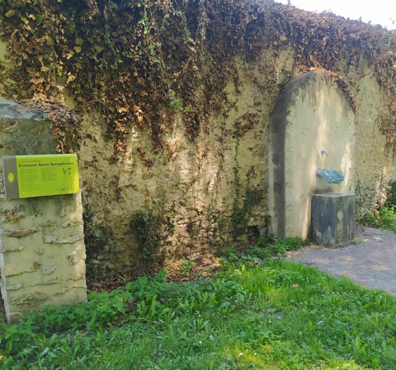 Belle balade entre Bonnelles, la Bâte et forêt Angervillers - Bonnelles