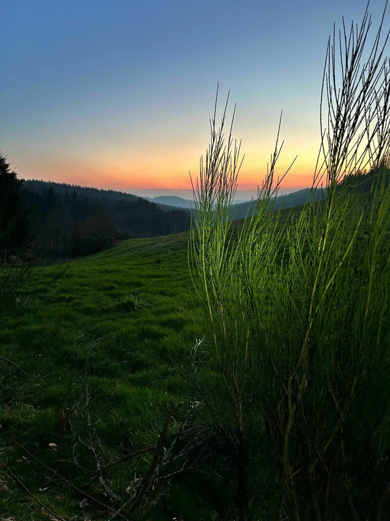 Belle petite balade à la Vignotte (Val-d’Ajol) - Girmont-Val-d'Ajol