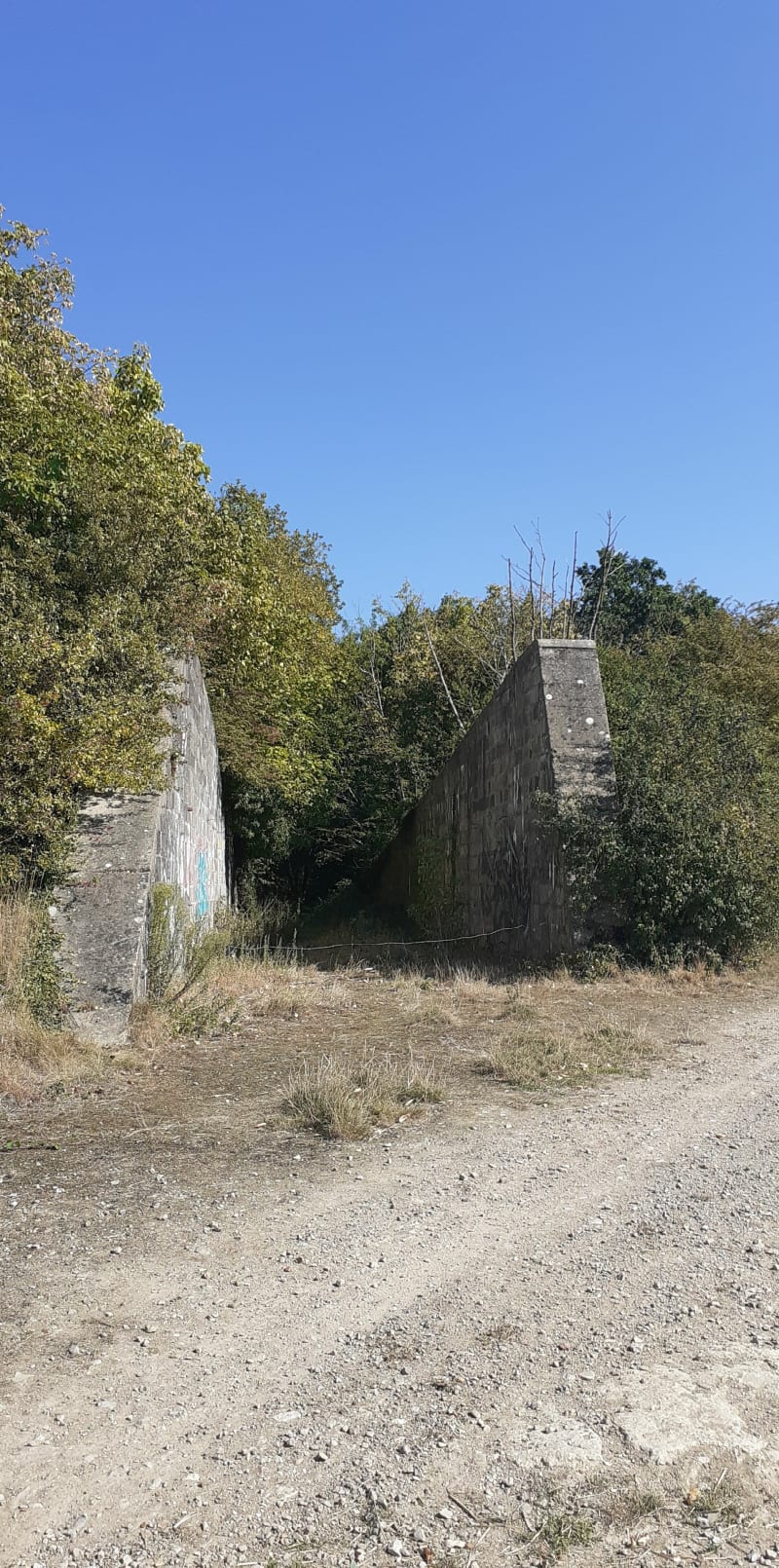 Autour de Muncq Nieurlet - Muncq-Nieurlet