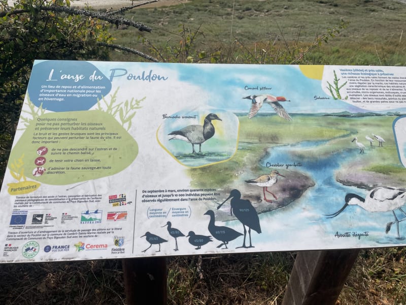 L’anse du Pouldon - Île-Tudy