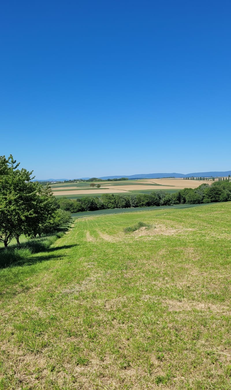 Kauffenheim - Niederlauterbach - Kauffenheim