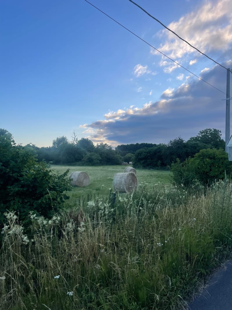Balade de Saint-Amand à Lecelles - Saint-Amand-les-Eaux
