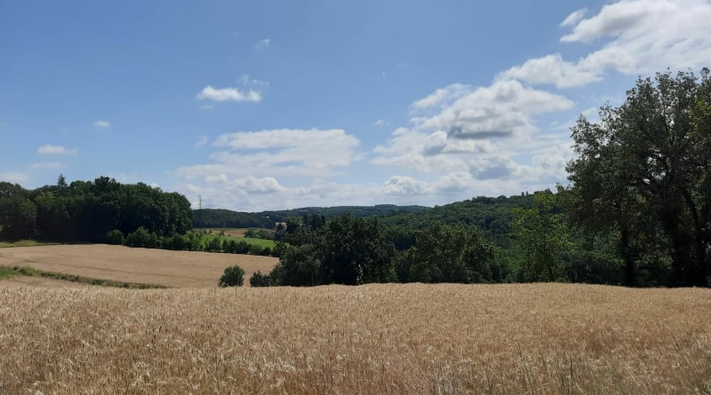 Boucle mixte entre coteaux de Lusignan-Petit, Madaillan, Laugnac - Madaillan