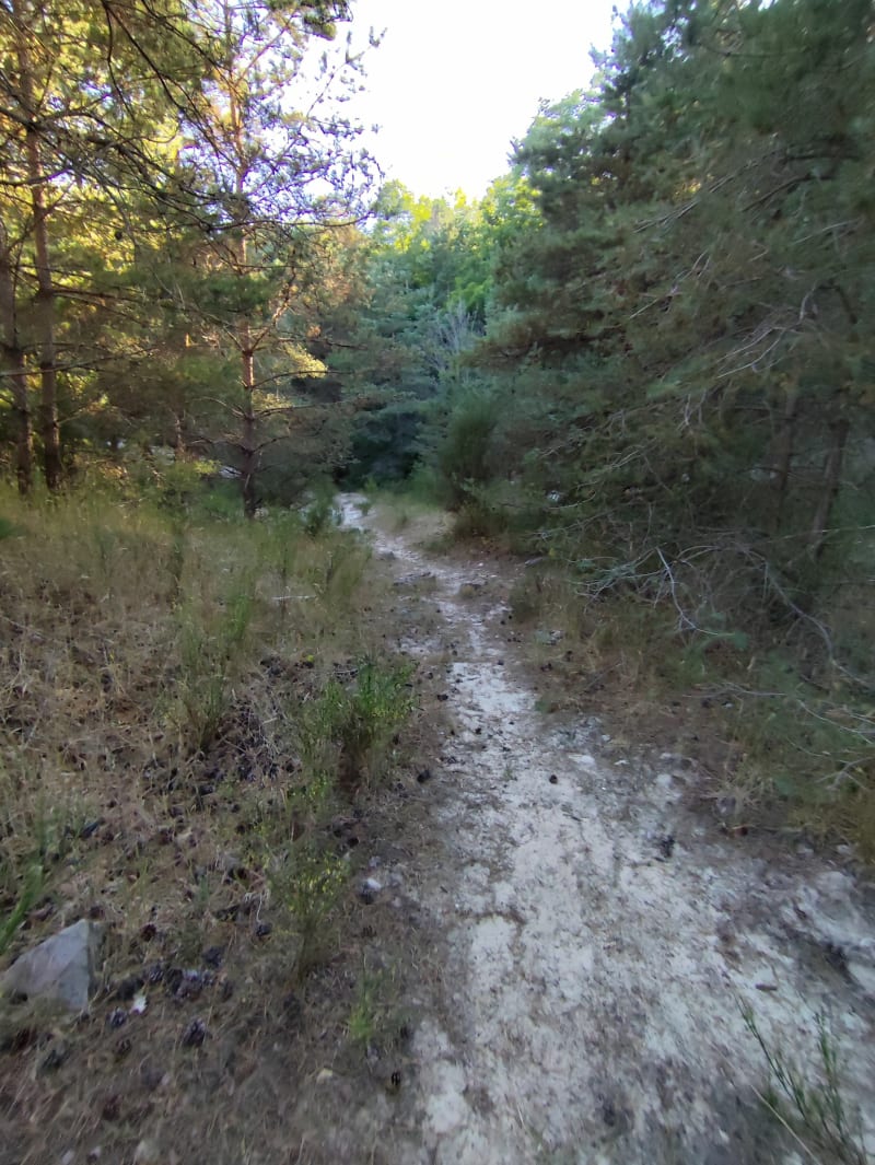 Randonnée à Droue-sur-Drouette - Droue-sur-Drouette