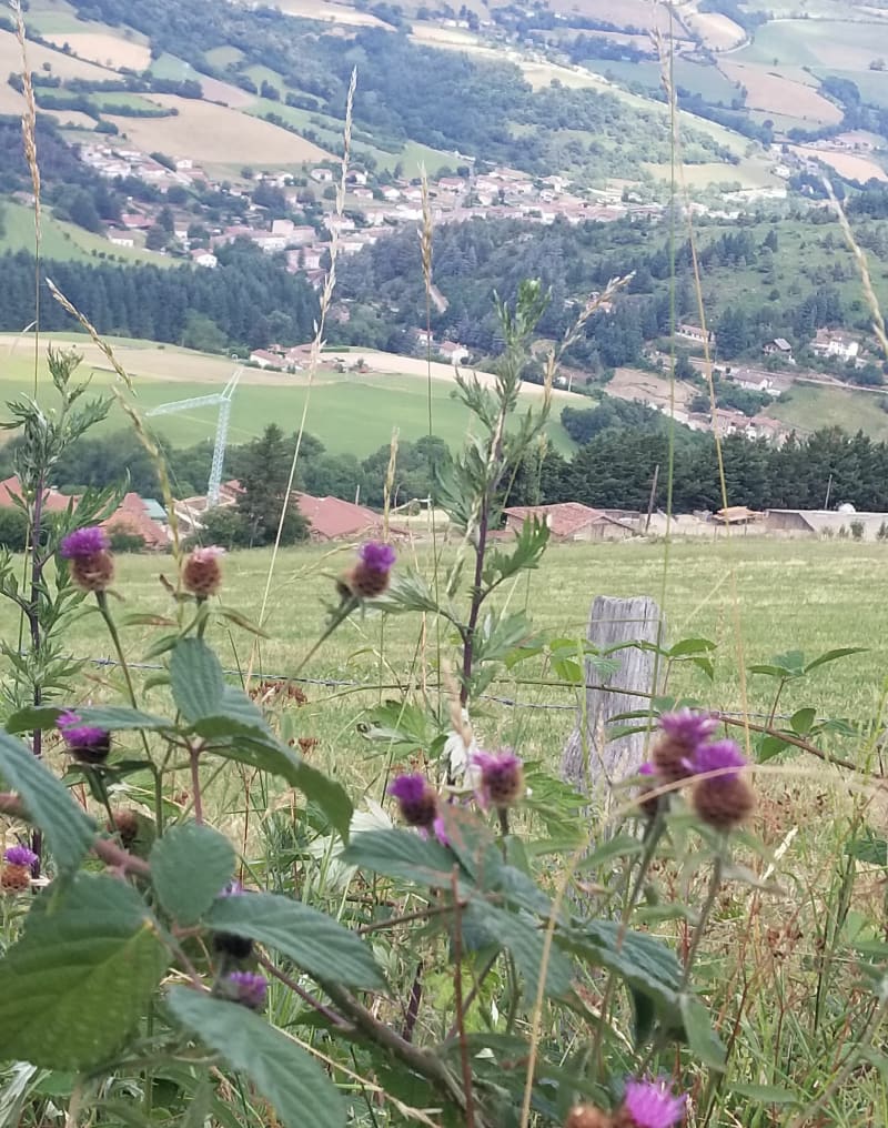 Boucle croix de Montvieux par le collet de Doizieux - Doizieux