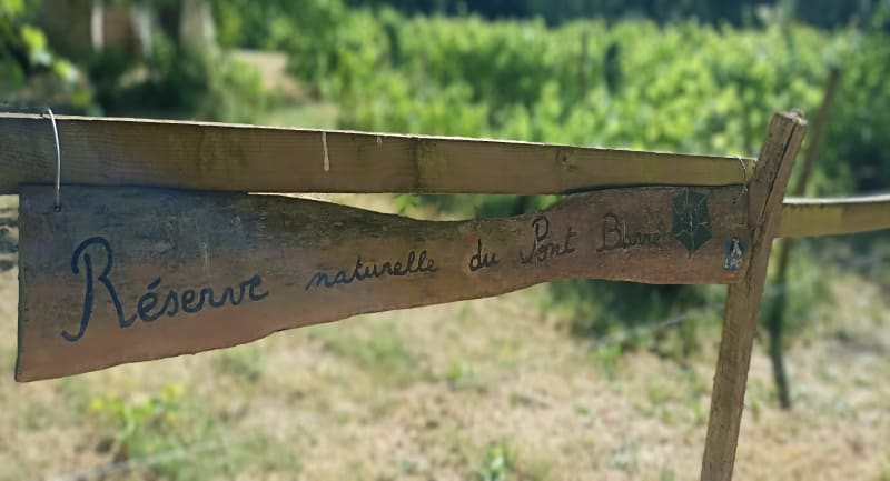 Balade au Pont Barré - Beaulieu-sur-Layon