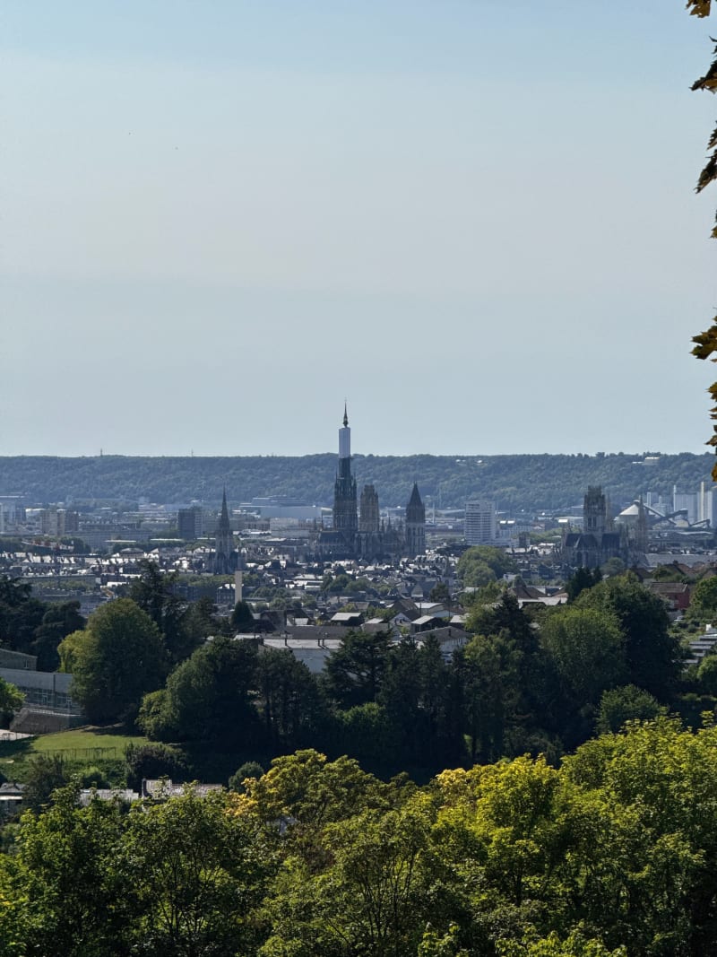 Balade dans la nature autour de Lombardie et Grande Mare - Rouen