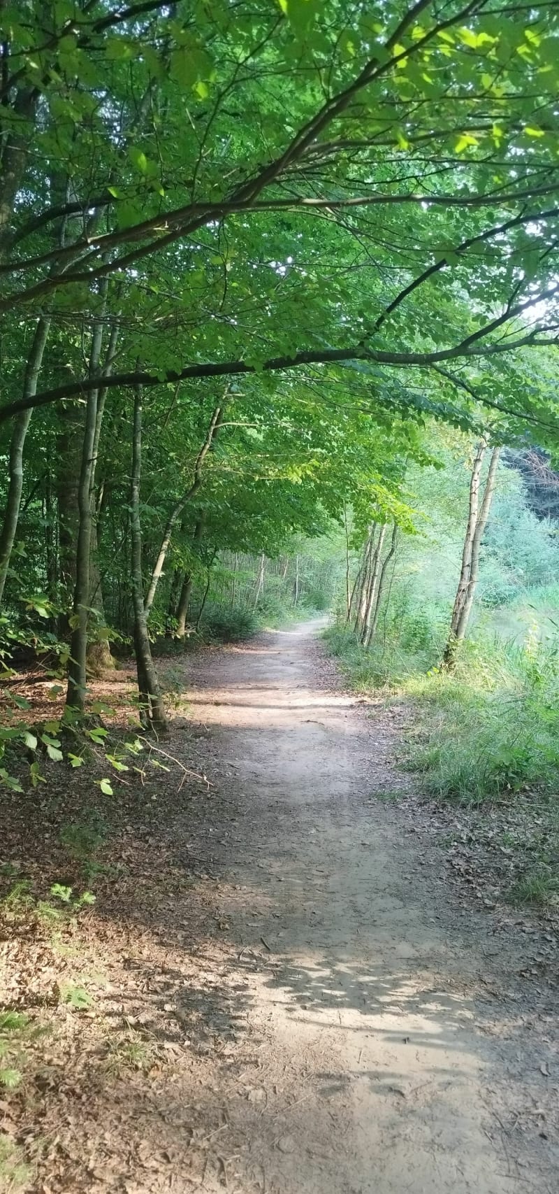 Long des berges et forêts à Hattigny - Hattigny