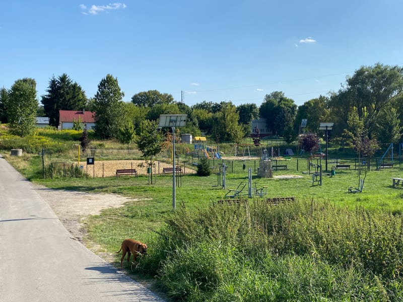 Przyjemny spacer doliną Czerniejówki w upalne popołudnie - Lublin