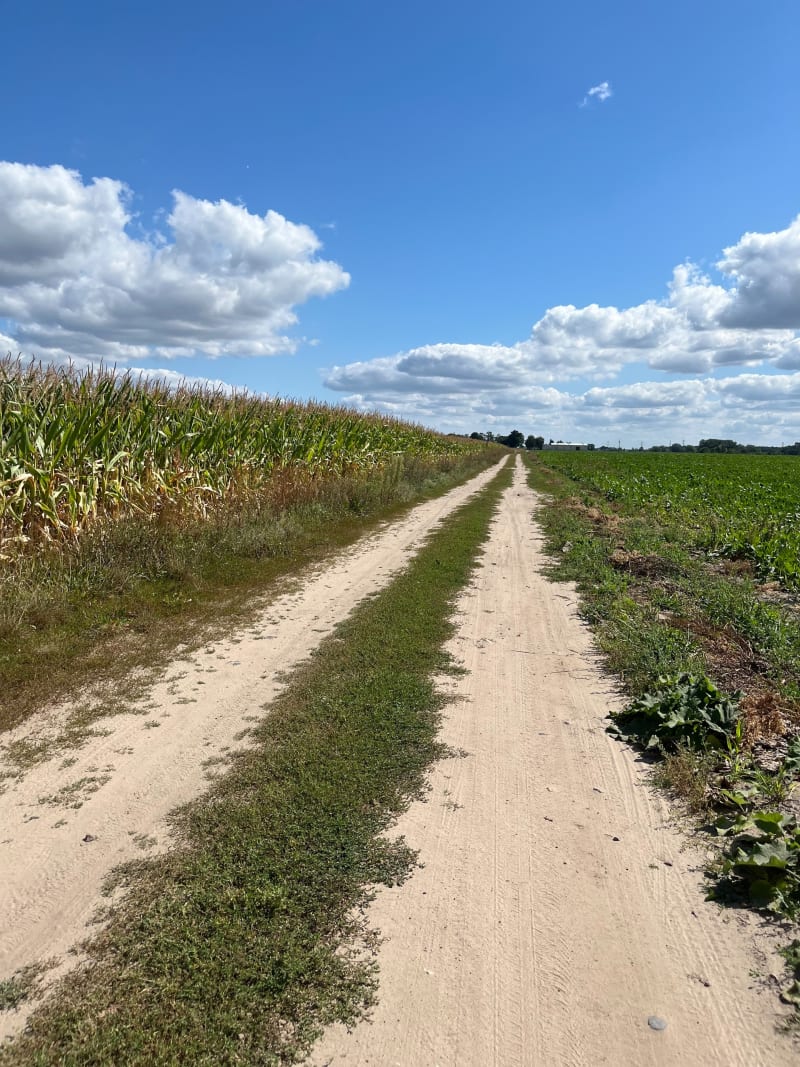 Z Dopiewa na Owocową Plażę - Dopiewo