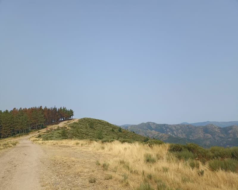Col millet en VTT depuis Jaujac - Jaujac