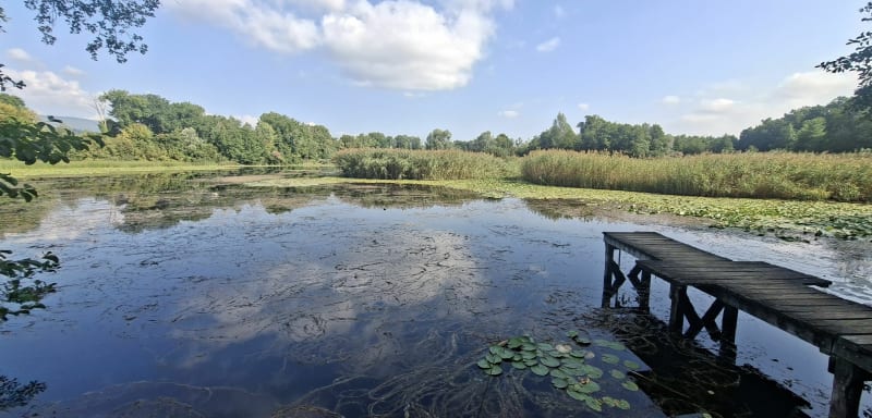 Les étangs de Crosagny en VTTAE - Rumilly
