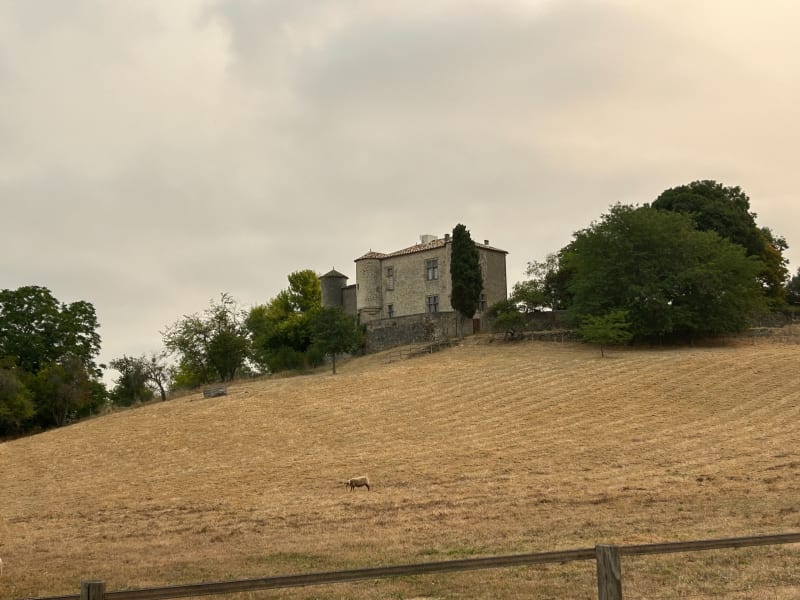 Boucle entre Mérignas et Saint Vincent de Pertignas - Mérignas