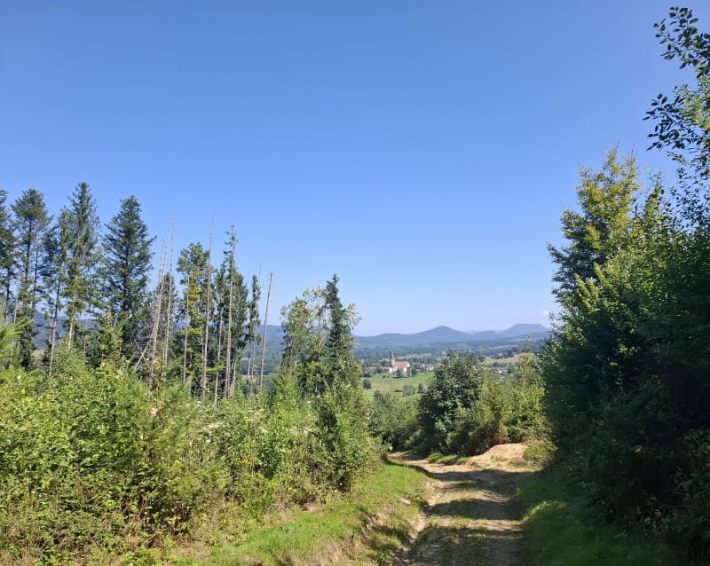 Balade vtt modérée pour débutant - Raves