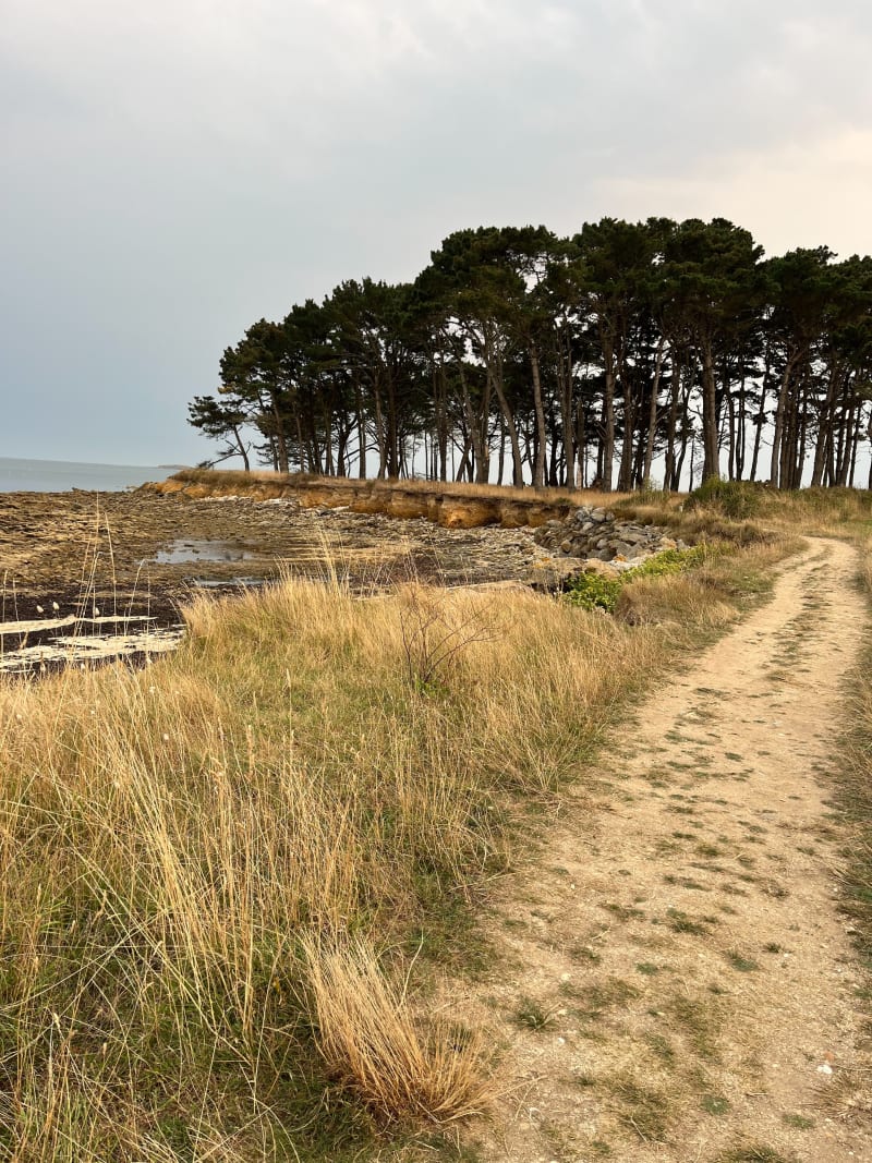 Sentier piéton le long de la côte de Locmariaquer - Locmariaquer