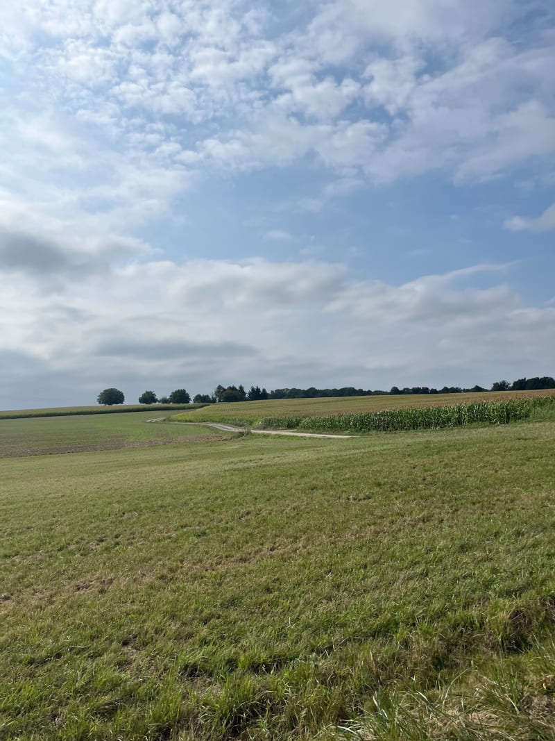 Balade dans les champs sur les hauteurs d’Illtal - Illtal