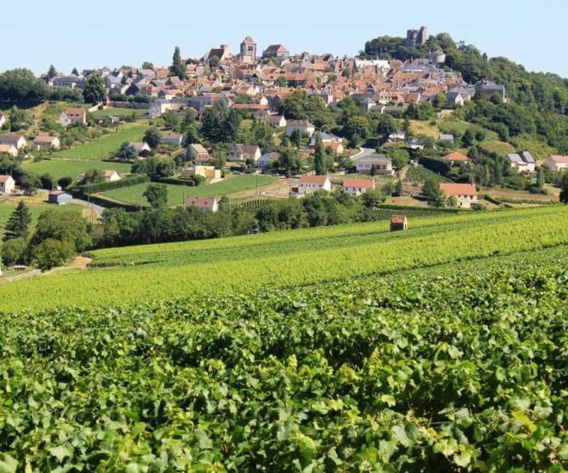 Autour de Sancerre - Menetou-Râtel