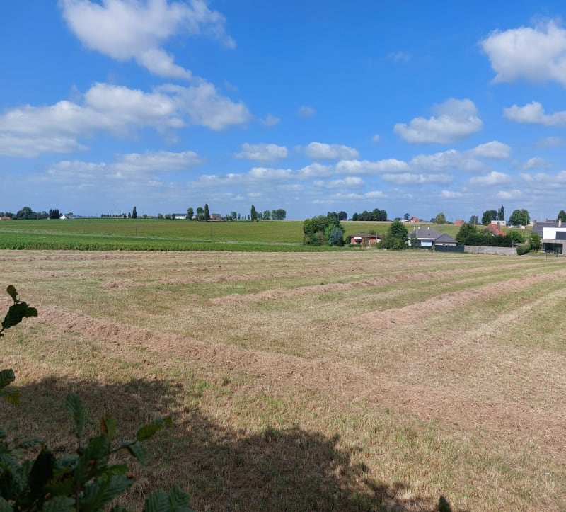Tielt-Maldegem - Tielt