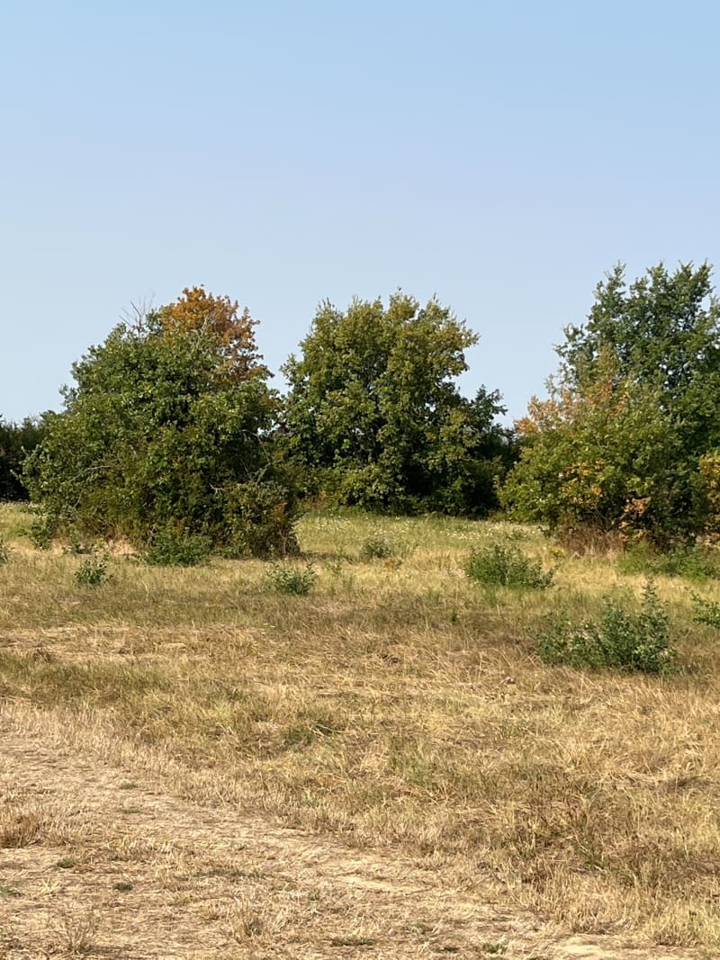 Un petit tour dans le Tarn et Garonne - Grenade