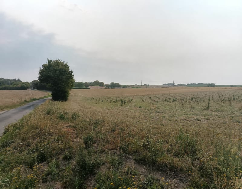 Autour de Gourville - Rouillac