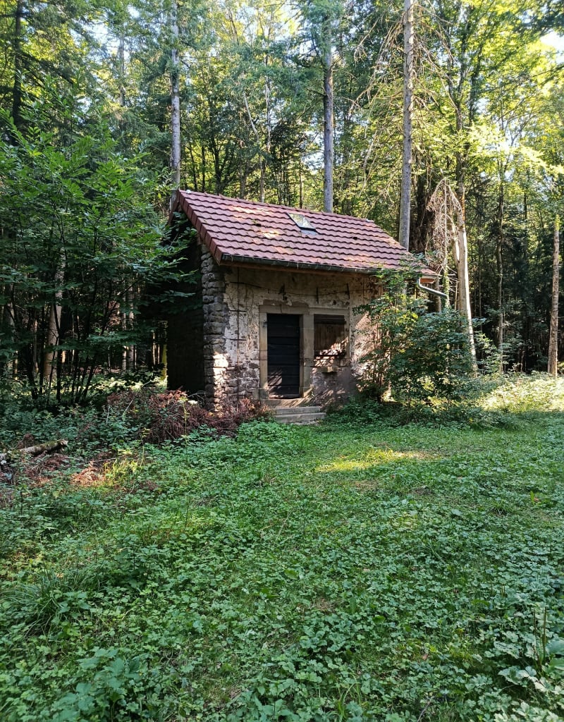 Boucle dans les bois de Genéchier - Échenans-sous-Mont-Vaudois