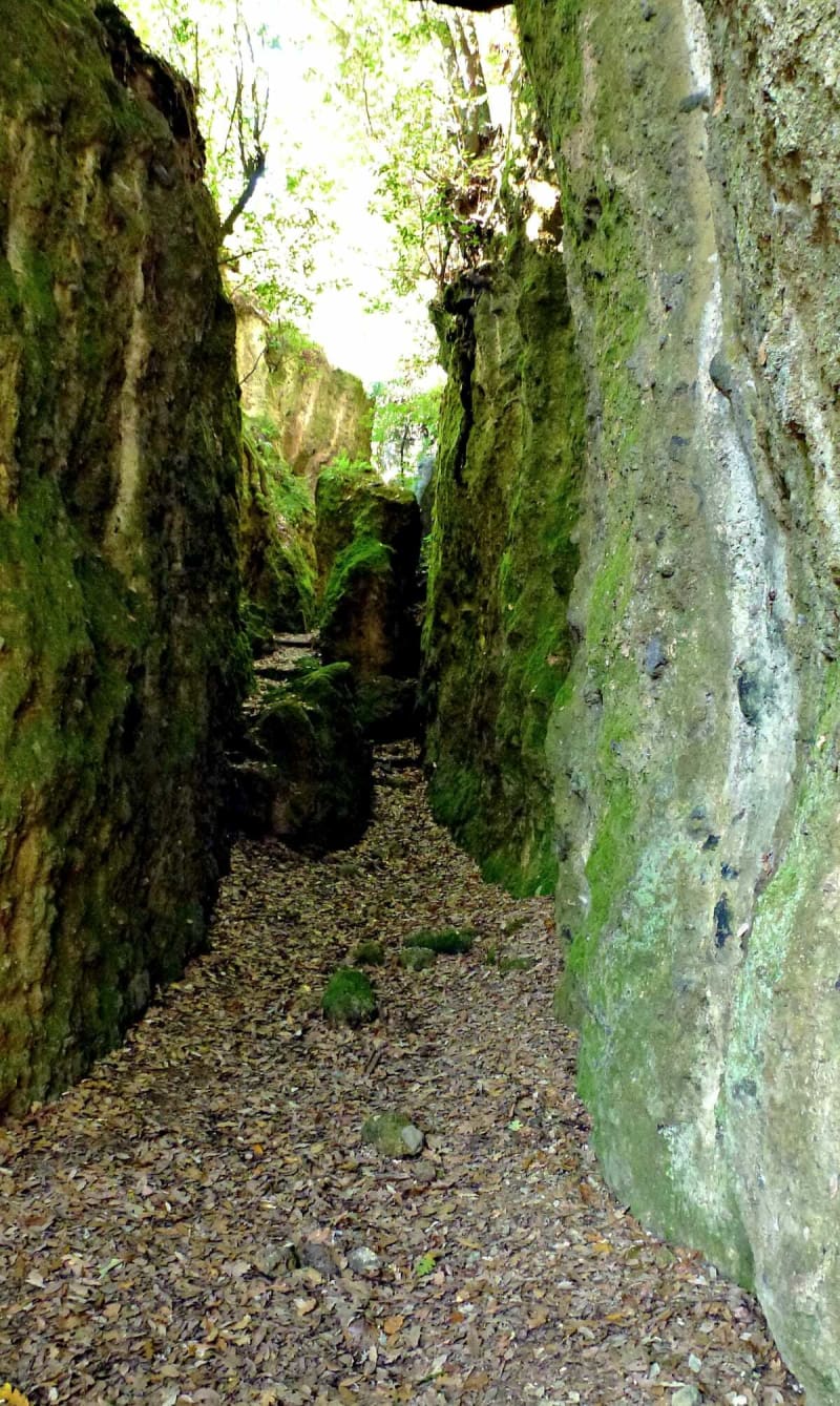 Randonnée à Canale Monterano au départ de Progetto