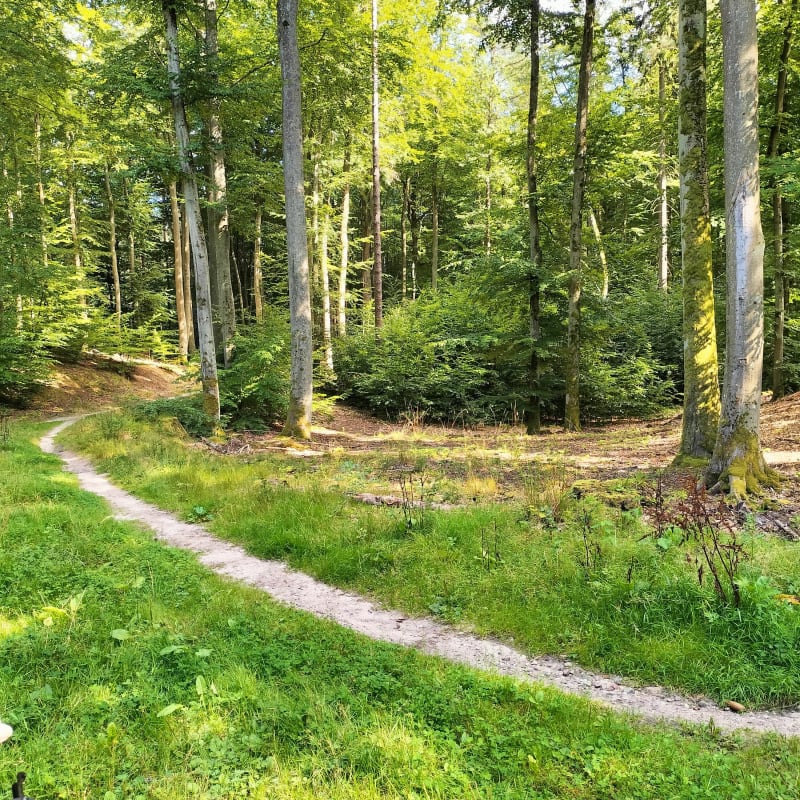 Wycieczka rowerowa przez Trójmiejski Park - Gdynia