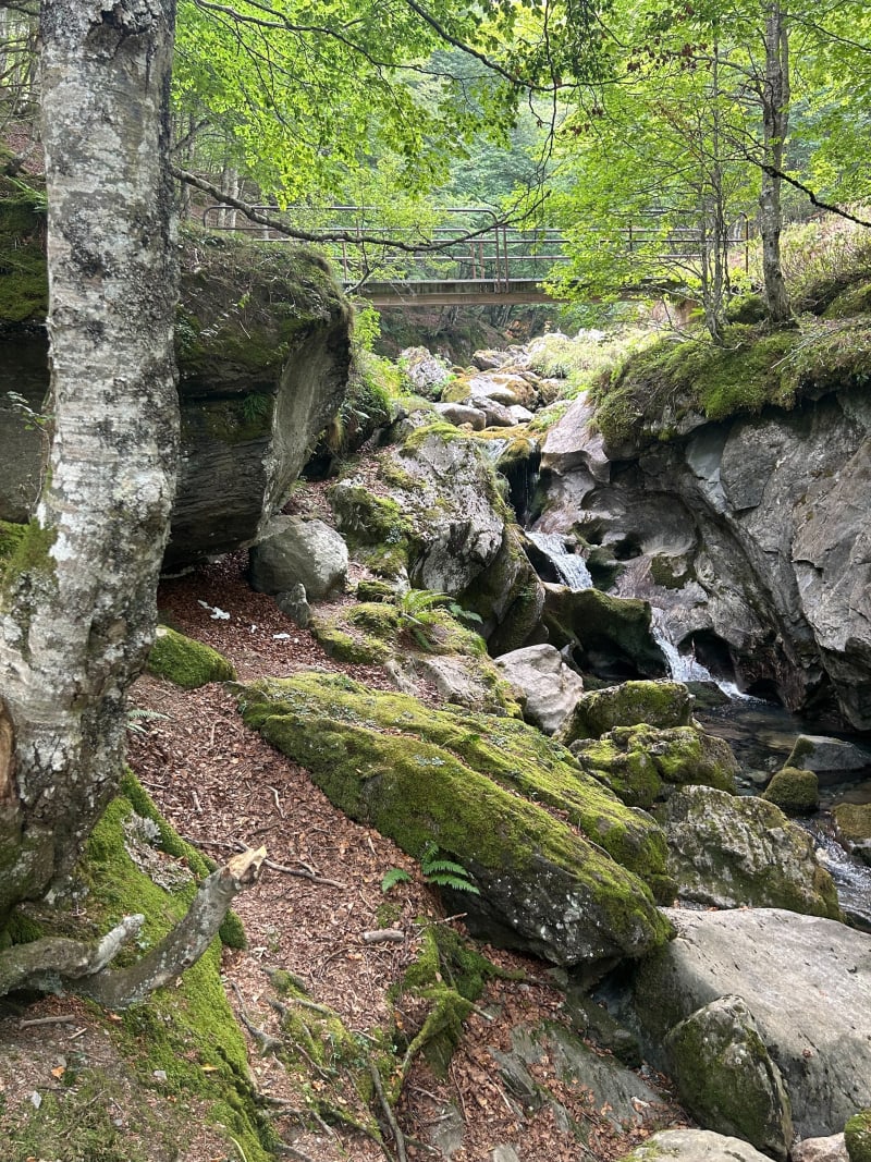 Le sentier à Loulou - Eaux-Bonnes