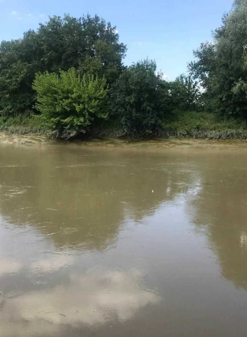 Routes et coteaux aux abords de Libourne - Saint-Martin-du-Bois