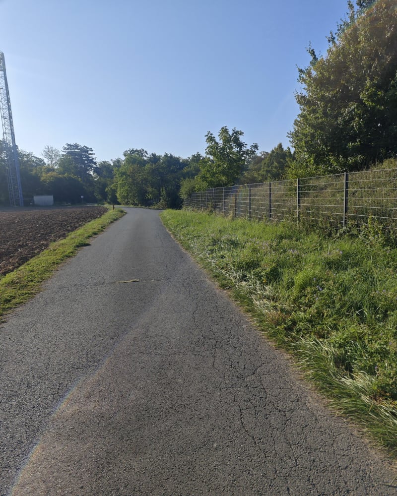 Balade tranquille à Woustviller - Woustviller