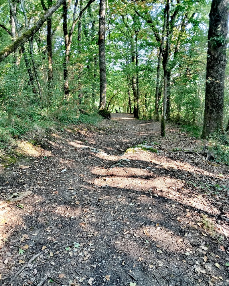 Le laurier / Ste Colombe de Villeneuve - Sainte-Colombe-de-Villeneuve