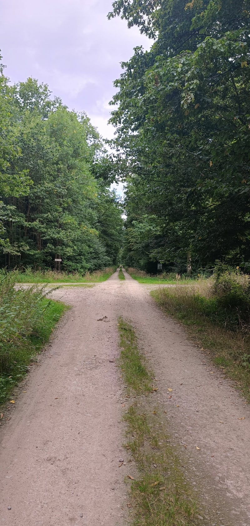 Leśna Woda - Brzeg