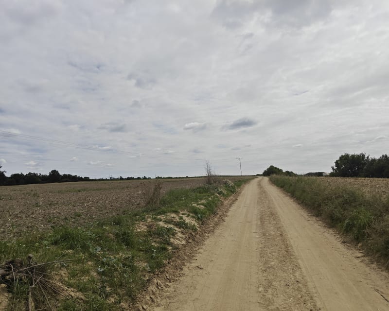 Wokół jeziora Jaroszewskiego - Sieraków