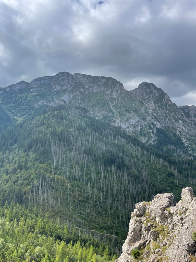 Od doliny strążyska do Kuźnic - Zakopane