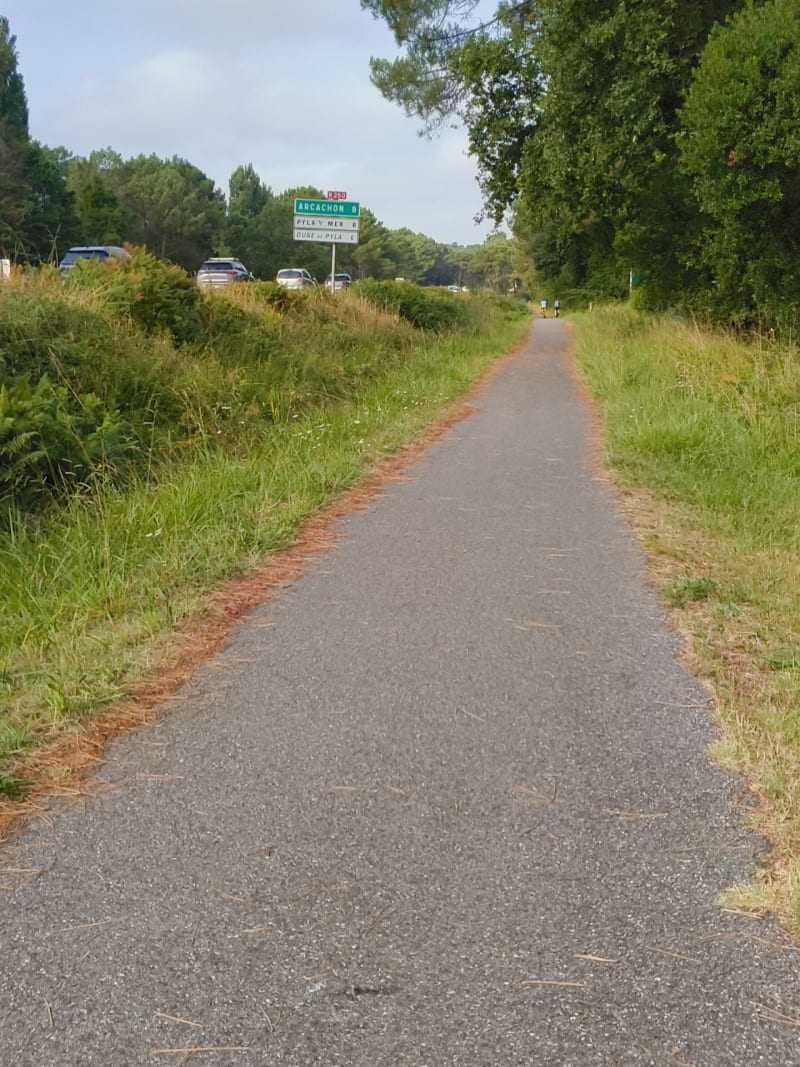 Entre pistes cyclables et désolation forestière à Cazaux - La Teste-de-Buch