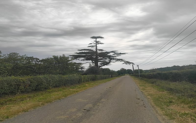 Marche de l'Oudon - Saint-Pierre-en-Auge