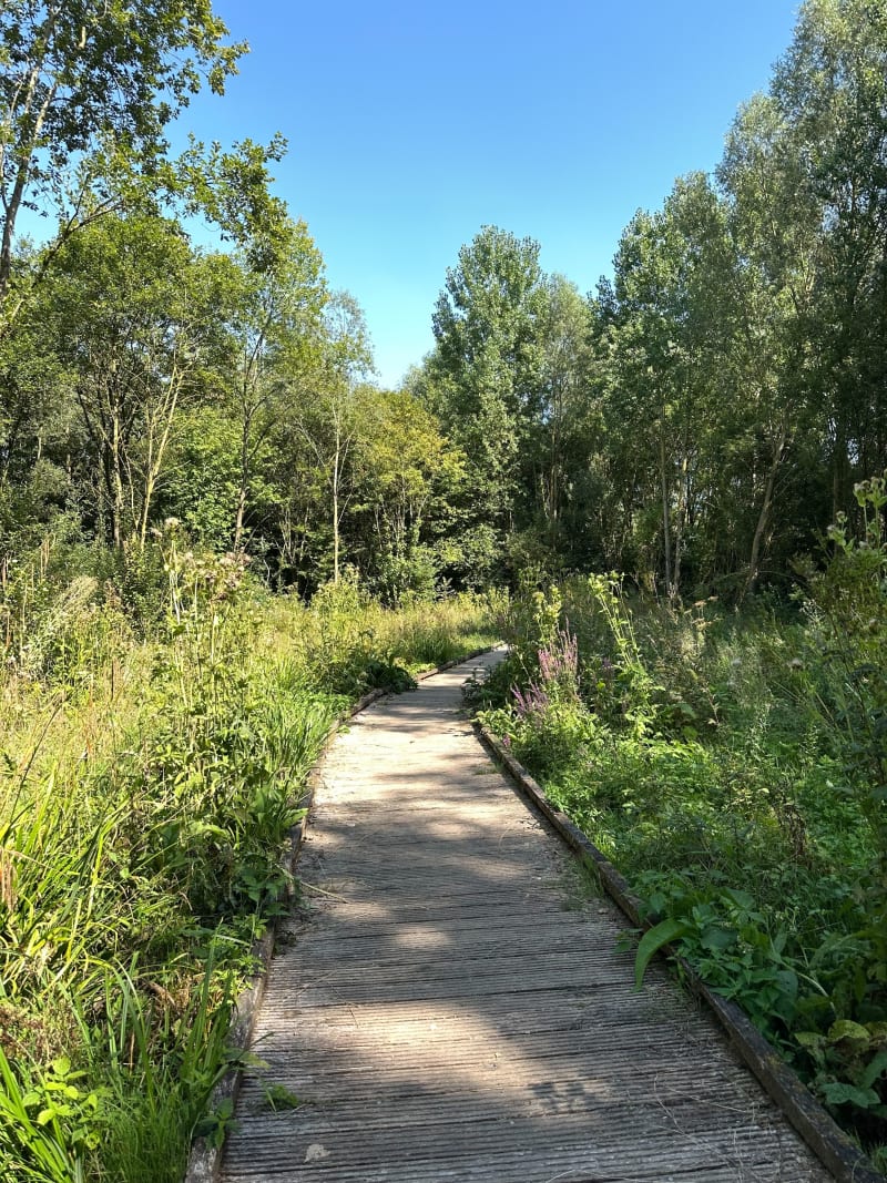 De Tressin à Bouvines - Tressin