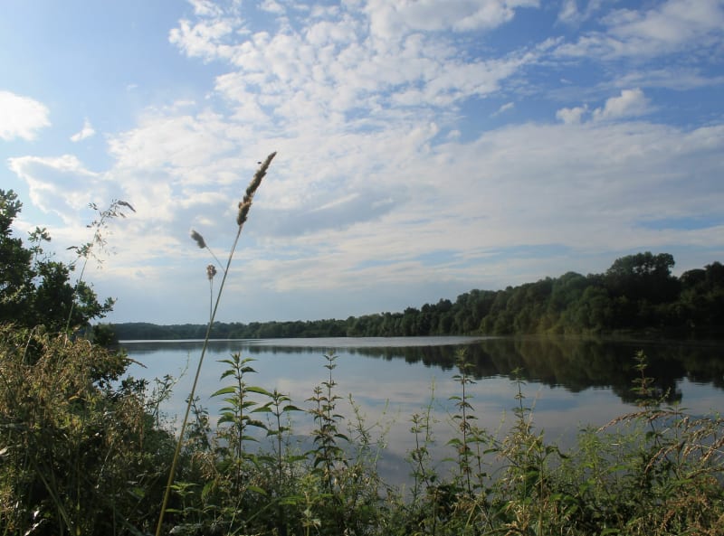 Randonnée depuis Le Pont Légé - Chavagnes-en-Paillers