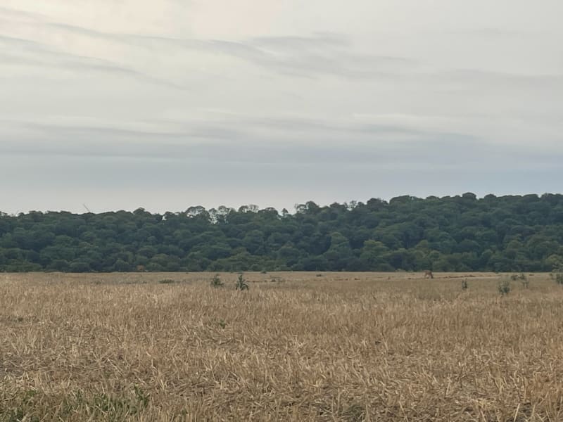Chemins vers Conteville - Choqueuse-les-Bénards