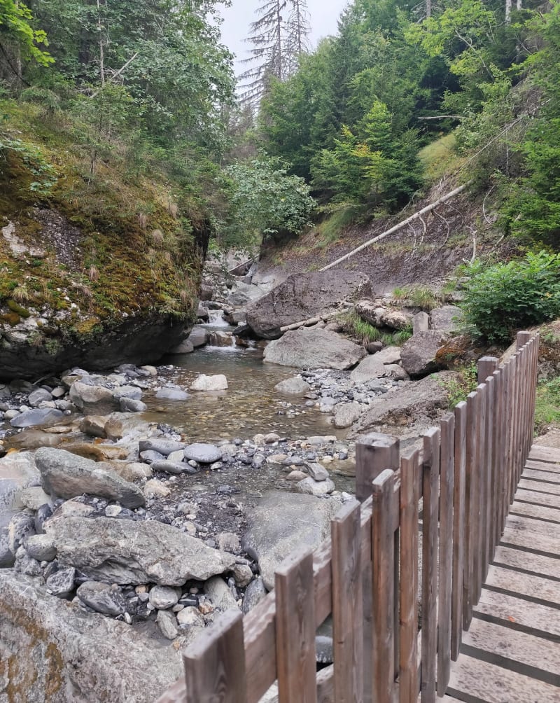 Moulin du Villard - Les Belleville