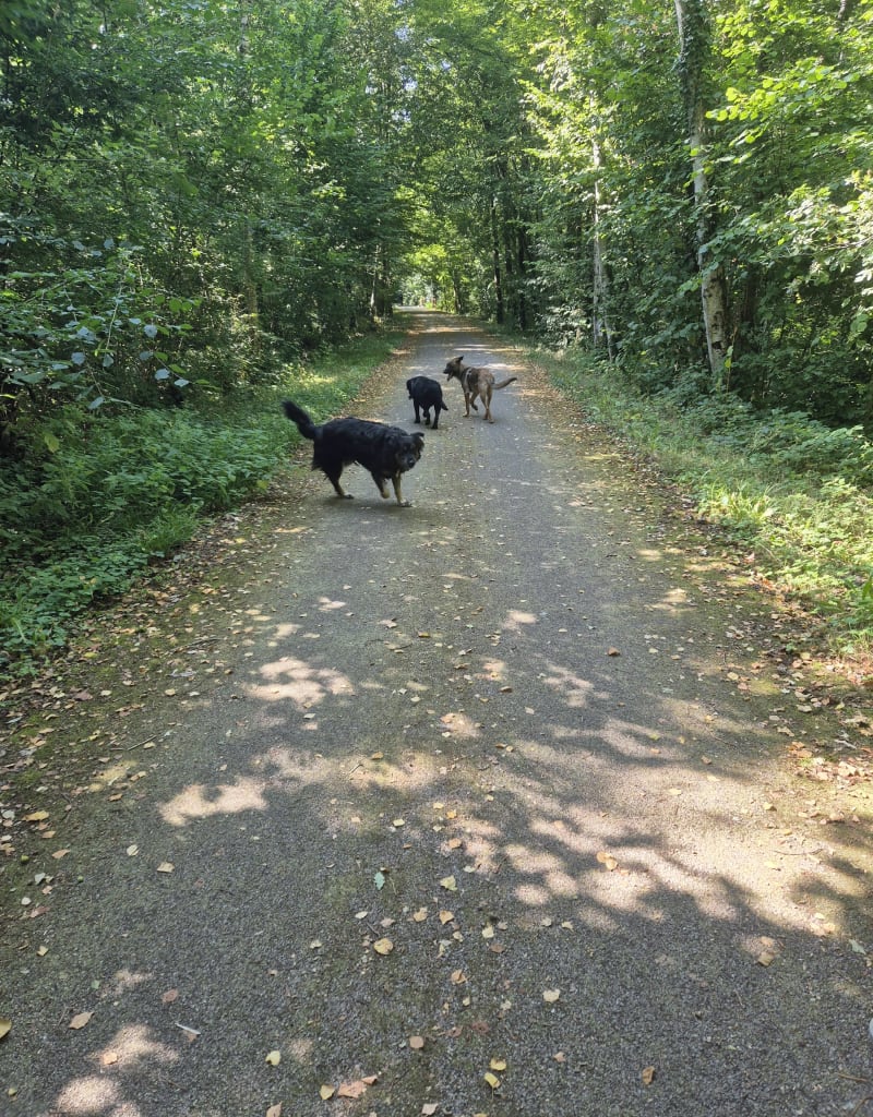 Petite balade autour d'Harcourt - Harcourt