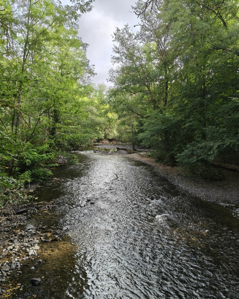 Boucle du Gabourat et cascade Saut-Ruban - Saint-Mesmin