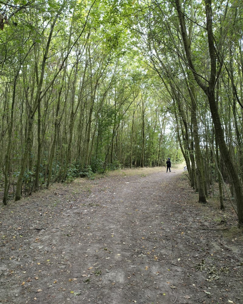 Galgebossen - Ieper