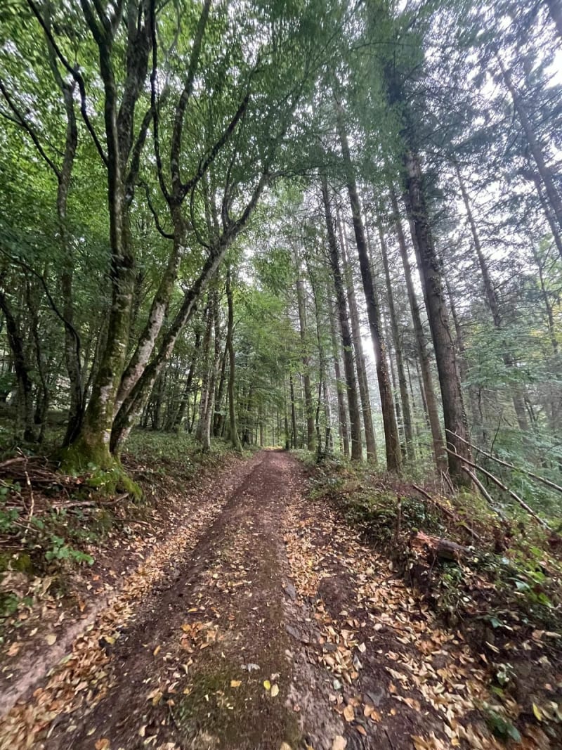 Tour d'Onlay via la cabane des chasseurs - Onlay