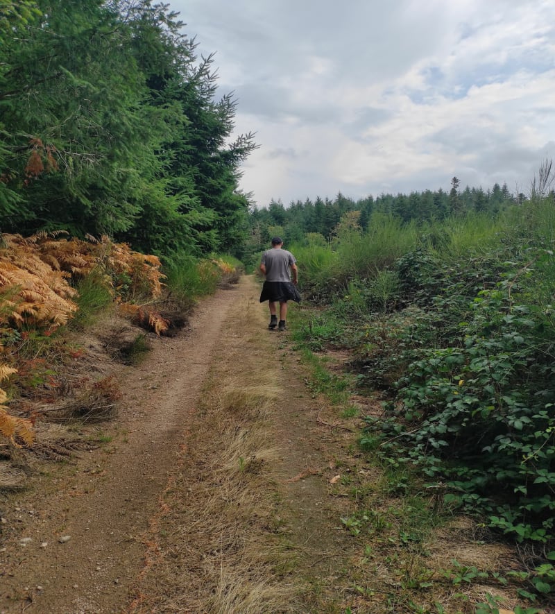 Les bois d'Ouroux - Deux-Grosnes